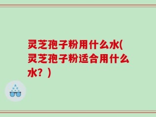 灵芝孢子粉用什么水(灵芝孢子粉适合用什么水？)
