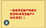 一组赤灵芝能产四百斤灵芝吗(赤灵芝能产400斤灵芝？)