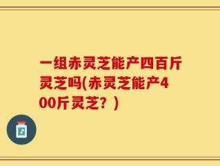 一组赤灵芝能产四百斤灵芝吗(赤灵芝能产400斤灵芝？)