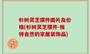 杉树灵芝摆件图片及价格(杉树灵芝摆件-独特自然的家居装饰品)