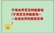 宁海白乔灵芝种植基地(宁海灵芝种植基地——走进白乔的微笑花海)