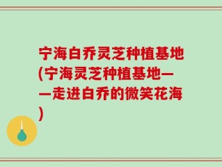 宁海白乔灵芝种植基地(宁海灵芝种植基地——走进白乔的微笑花海)