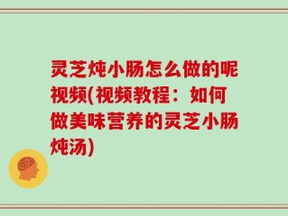 灵芝炖小肠怎么做的呢视频(视频教程：如何做美味营养的灵芝小肠炖汤)
