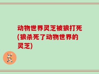 动物世界灵芝被狼打死(狼杀死了动物世界的灵芝)