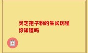 灵芝孢子粉的生长历程你知道吗