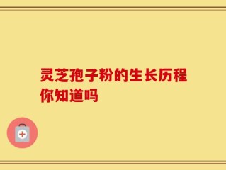 灵芝孢子粉的生长历程你知道吗