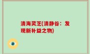 清海灵芝(清静谷：发现新补益之物)