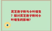灵芝孢子粉与小叶增生？探讨灵芝孢子粉对小叶增生的影响？