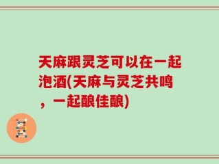 天麻跟灵芝可以在一起泡酒(天麻与灵芝共鸣，一起酿佳酿)