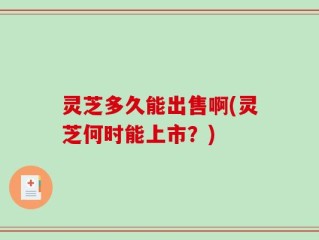 灵芝多久能出售啊(灵芝何时能上市？)