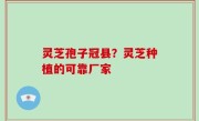 灵芝孢子冠县？灵芝种植的可靠厂家