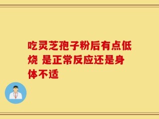 吃灵芝孢子粉后有点低烧 是正常反应还是身体不适
