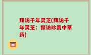 拜访千年灵芝(拜访千年灵芝：探访珍贵中草药)