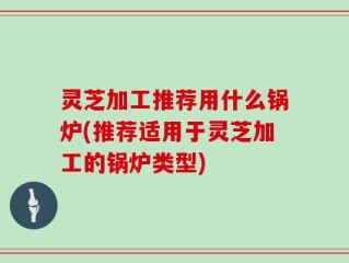 灵芝加工推荐用什么锅炉(推荐适用于灵芝加工的锅炉类型)
