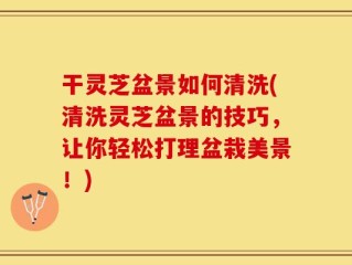 干灵芝盆景如何清洗(清洗灵芝盆景的技巧，让你轻松打理盆栽美景！)