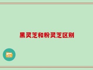 黑灵芝和粉灵芝区别
