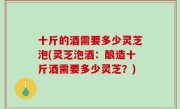 十斤的酒需要多少灵芝泡(灵芝泡酒：酿造十斤酒需要多少灵芝？)