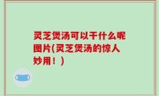 灵芝煲汤可以干什么呢图片(灵芝煲汤的惊人妙用！)