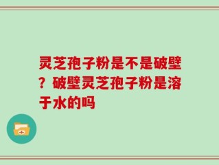 灵芝孢子粉是不是破壁？破壁灵芝孢子粉是溶于水的吗