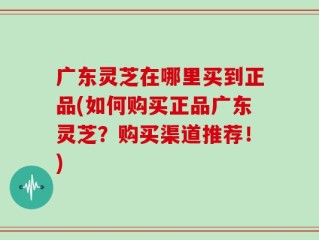 广东灵芝在哪里买到正品(如何购买正品广东灵芝？购买渠道推荐！)