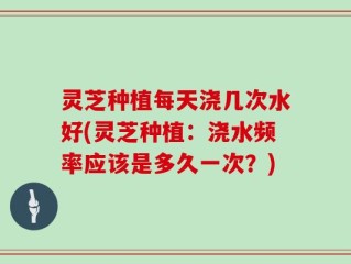 灵芝种植每天浇几次水好(灵芝种植：浇水频率应该是多久一次？)