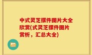 中式灵芝摆件图片大全欣赏(式灵芝摆件图片赏析，汇总大全)