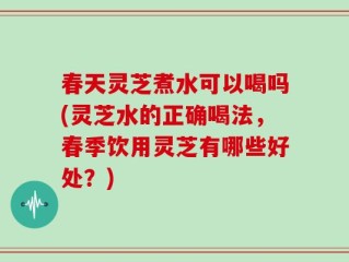 春天灵芝煮水可以喝吗(灵芝水的正确喝法，春季饮用灵芝有哪些好处？)