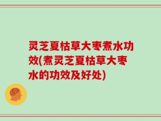 灵芝夏枯草大枣煮水功效(煮灵芝夏枯草大枣水的功效及好处)