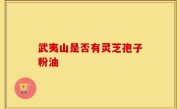 武夷山是否有灵芝孢子粉油