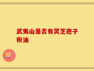 武夷山是否有灵芝孢子粉油