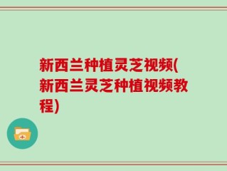 新西兰种植灵芝视频(新西兰灵芝种植视频教程)