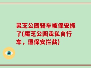 灵芝公园骑车被保安抓了(魔芝公园走私自行车，遭保安拦截)