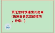 灵芝怎样快速生长出来(快速生长灵芝的技巧，分享！)