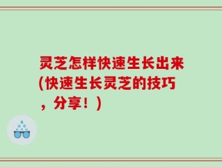 灵芝怎样快速生长出来(快速生长灵芝的技巧，分享！)