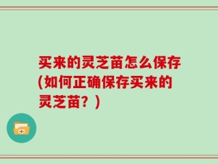 买来的灵芝苗怎么保存(如何正确保存买来的灵芝苗？)