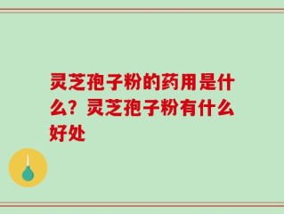 灵芝孢子粉的药用是什么？灵芝孢子粉有什么好处