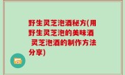 野生灵芝泡酒秘方(用野生灵芝泡的美味酒  灵芝泡酒的制作方法分享)