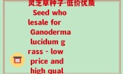 灵芝草种子批发(批发灵芝草种子-低价优质  Seed wholesale for Ganoderma lucidum grass - low price and high quality)