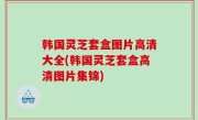 韩国灵芝套盒图片高清大全(韩国灵芝套盒高清图片集锦)