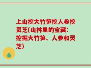 上山挖大竹笋挖人参挖灵芝(山林里的宝藏：挖掘大竹笋、人参和灵芝)