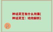 神话灵芝有什么效果(神话灵芝：功效解析)