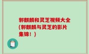 郭麒麟和灵芝视频大全(郭麒麟与灵芝的影片集锦！)
