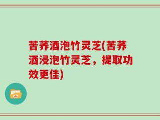 苦荞酒泡竹灵芝(苦荞酒浸泡竹灵芝，提取功效更佳)