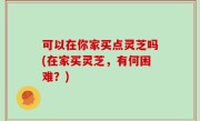 可以在你家买点灵芝吗(在家买灵芝，有何困难？)