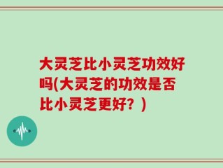大灵芝比小灵芝功效好吗(大灵芝的功效是否比小灵芝更好？)