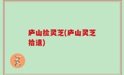 庐山捡灵芝(庐山灵芝拾遗)