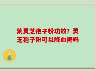 紫灵芝孢子粉功效？灵芝孢子粉可以降血糖吗