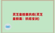 灵芝皇胶囊抗癌(灵芝皇胶囊：抗癌宝剑)