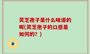 灵芝孢子是什么味道的呢(灵芝孢子的口感是如何的？)