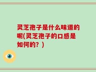 灵芝孢子是什么味道的呢(灵芝孢子的口感是如何的？)